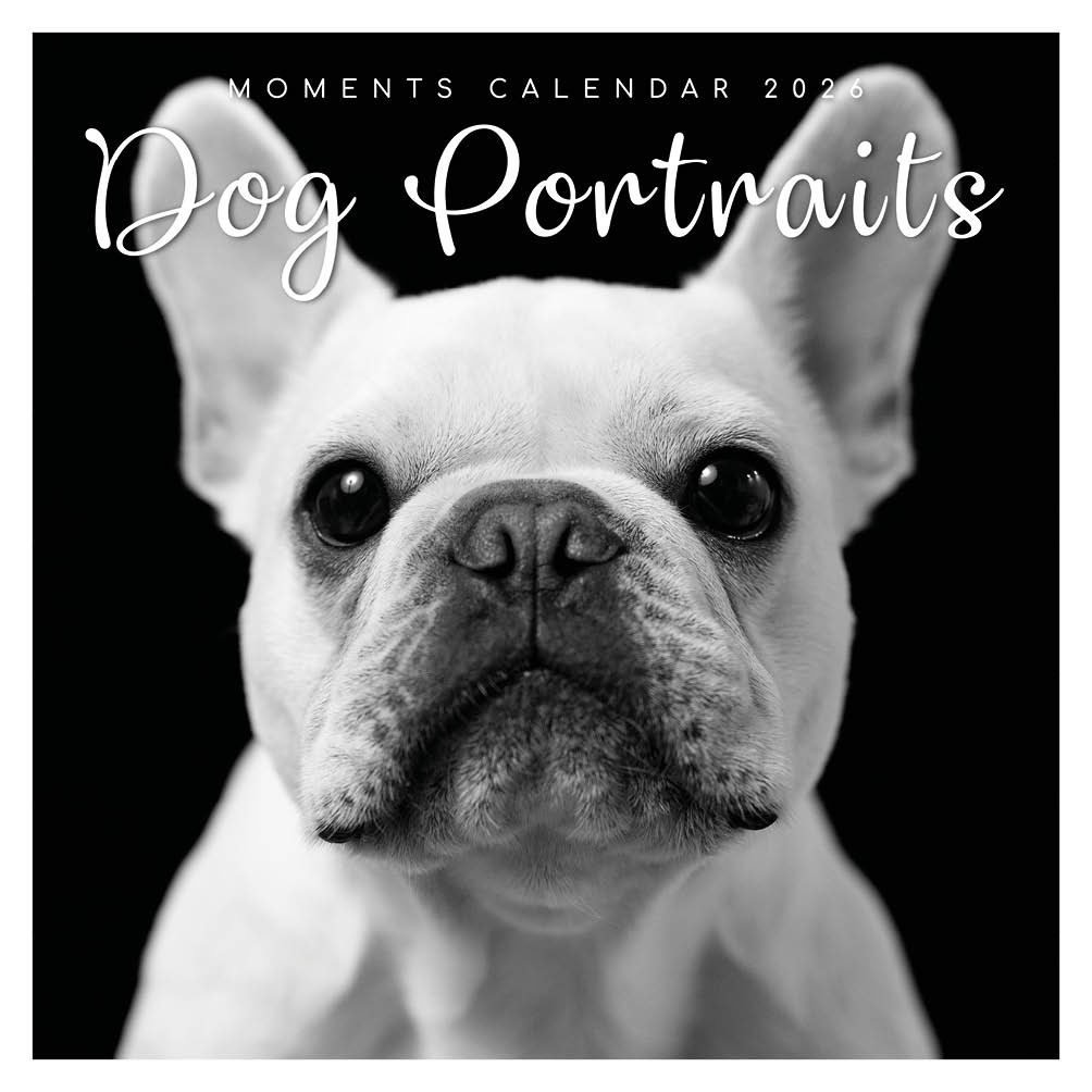 Kalender - 2026 - Dog portraits - 30x30cm