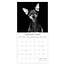 Comello Kalender - 2026 - Dog portraits - 30x30cm