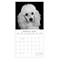 Comello Kalender - 2026 - Dog portraits - 30x30cm
