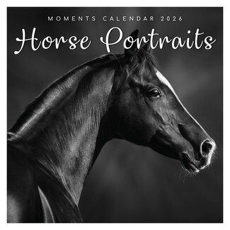Comello Kalender - 2026 - Horse portraits - 30x30cm