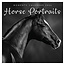 Comello Kalender - 2026 - Horse portraits - 30x30cm