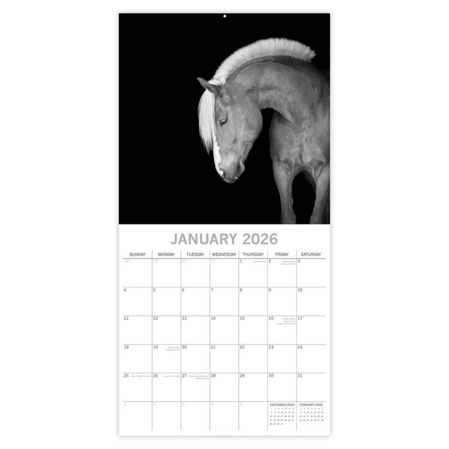 Comello Kalender - 2026 - Horse portraits - 30x30cm