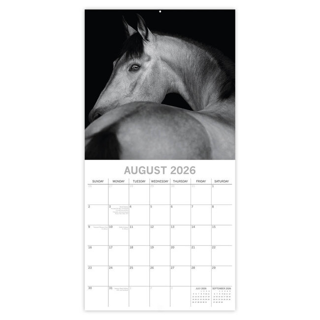 Comello Kalender - 2026 - Horse portraits - 30x30cm
