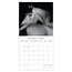 Comello Kalender - 2026 - Horse portraits - 30x30cm