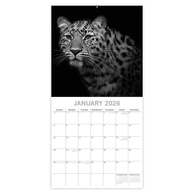 Comello Kalender - 2026 - Wild portraits - 30x30cm