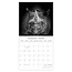 Comello Kalender - 2026 - Wild portraits - 30x30cm