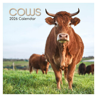 Comello Kalender - 2026 - Cows - 30x30cm