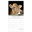 Comello Kalender - 2026 - Cows - 30x30cm