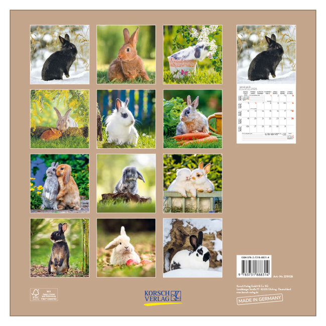 Comello Kalender - 2026 - Konijnen - 30x30cm