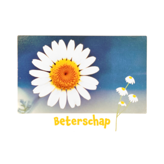 Artige Kaart - Beterschap - Little wishes - ECLT23-A