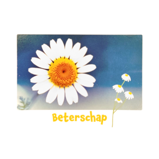 Kaart - Little wishes - Beterschap - ECLT23-A