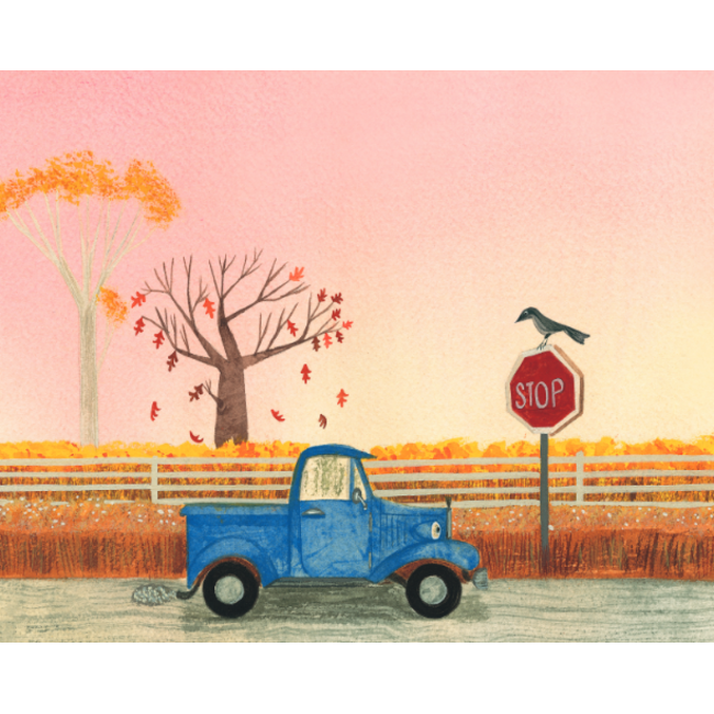 Gottmer Boek - Kartonboek - Kleine blauwe truck - 2+