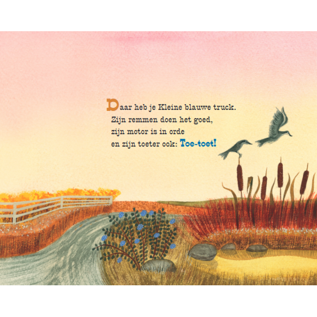 Gottmer Boek - Kartonboek - Kleine blauwe truck - 2+