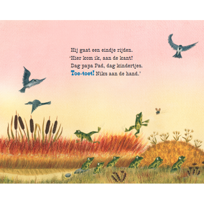 Gottmer Boek - Kartonboek - Kleine blauwe truck - 2+