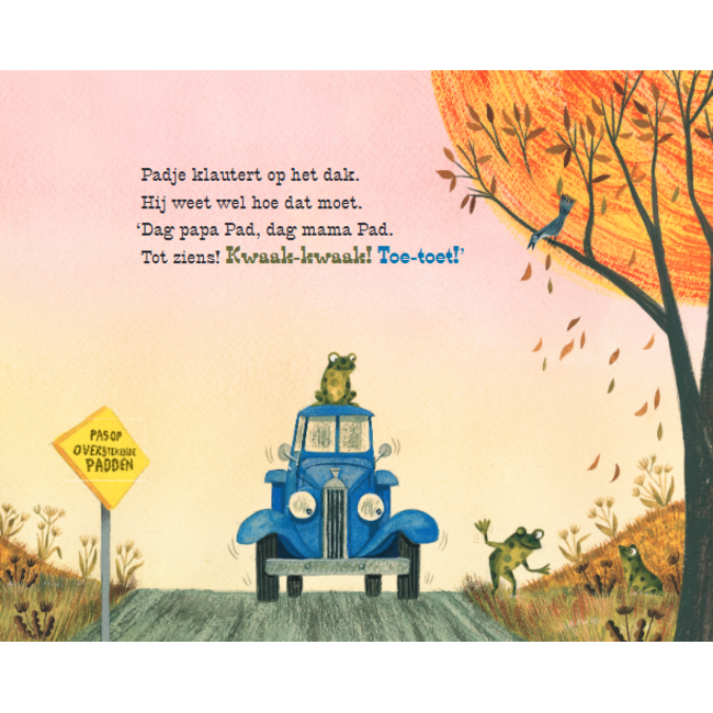 Gottmer Boek - Kartonboek - Kleine blauwe truck - 2+