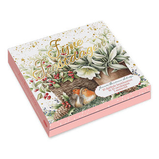 Comello Kaarten - Kerst - Janneke Brinkman - Bloempot roodborstjes & bloempot amaryllis - 10st.