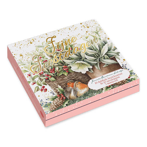 Kaarten - Kerst - Janneke Brinkman - Bloempot roodborstjes & bloempot amaryllis - 10st.