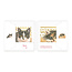 Comello Kaarten - Kerst - Franciens katten -  Kittens met goudpatroon - 10st.