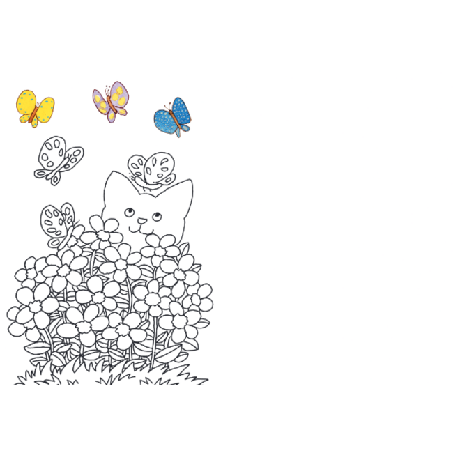 Harlekijn Boek - Kleurboek - Dikkie Dik