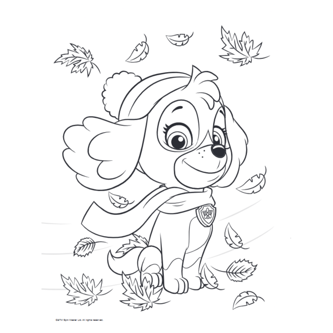 Harlekijn Boek - Kleurboek - Paw patrol