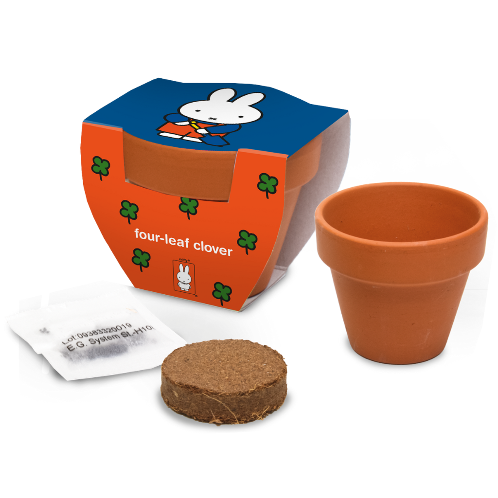 Kweken met Nijntje - Klavertje 4 - Met terracotta potje