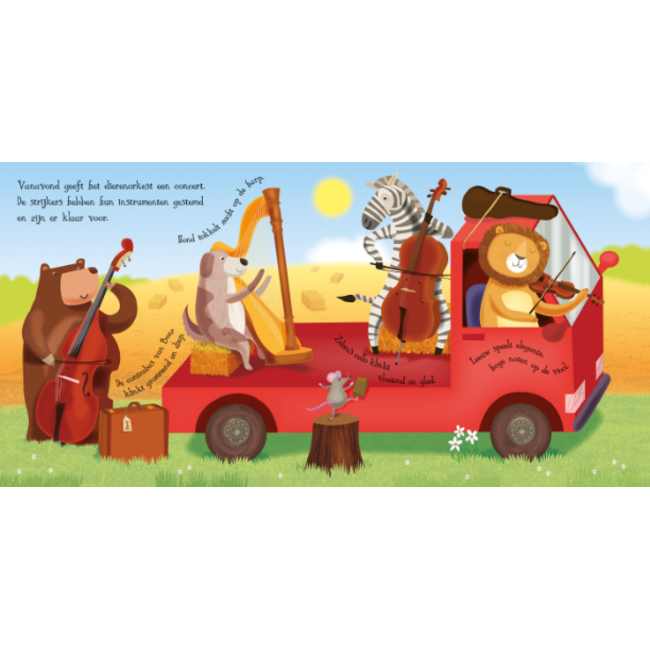 Boek - Zo klinkt een orkest - Met geluid