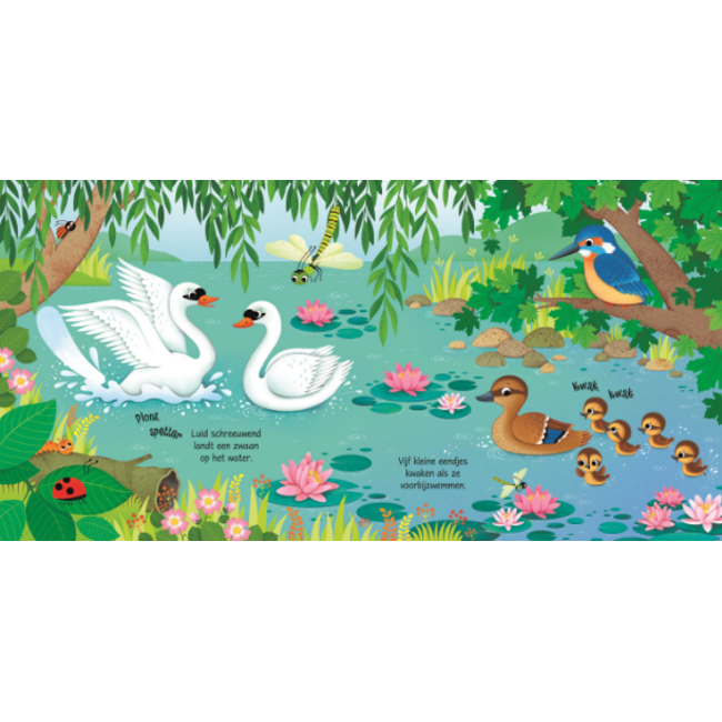 Boek - Vogels - Met geluid