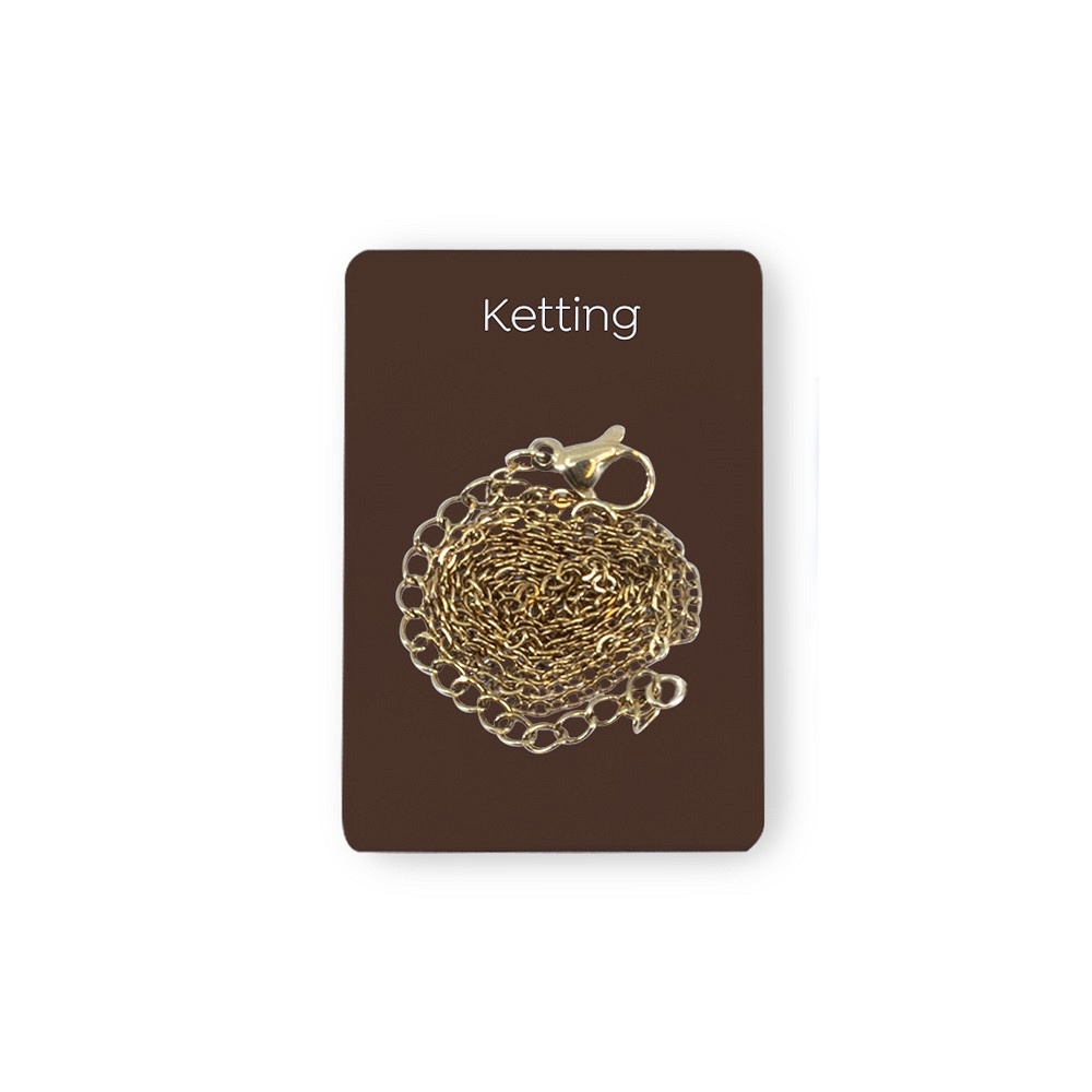 Gouden Charm - Ketting