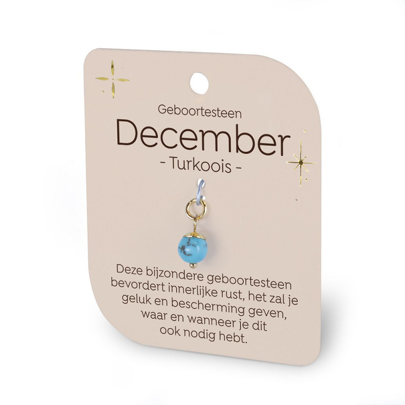 Gouden Charm - Geboortesteen - December