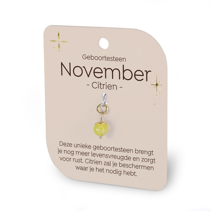 Gouden Charm - Geboortesteen - November