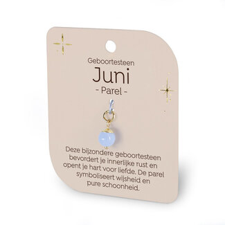 Miko Gouden Charm - Geboortesteen - Juni