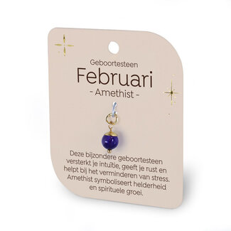 Miko Gouden Charm - Geboortesteen - Februari
