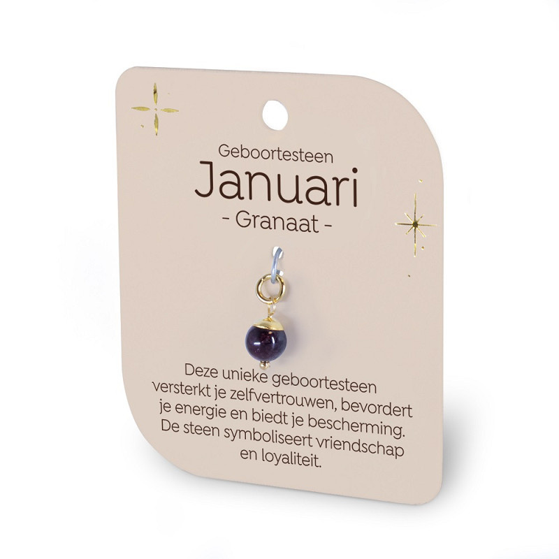 Gouden Charm - Geboortesteen - Januari