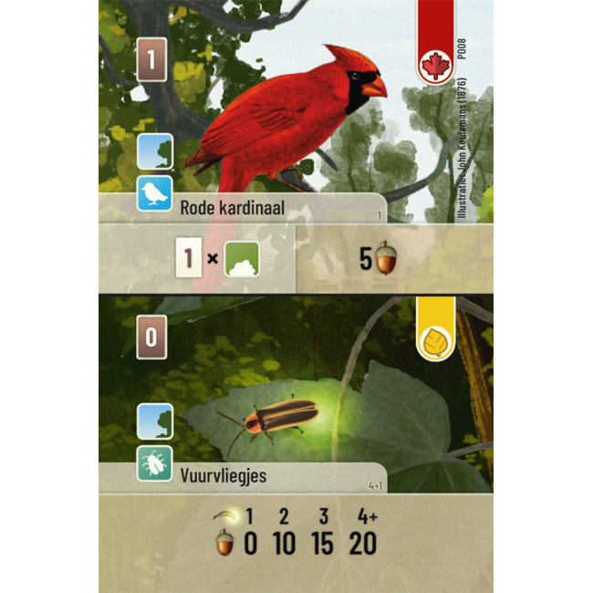 Look out spiele Spel - Kaartspel - Forest Shuffle - Uitbreiding - Exploration - 2 tot 5 spelers - 10+