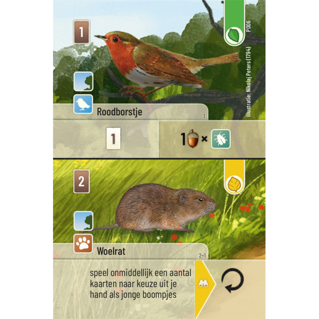 Look out spiele Spel - Kaartspel - Forest Shuffle - Uitbreiding - Exploration - 2 tot 5 spelers - 10+