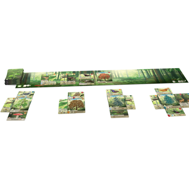 Spel - Kaartspel - Forest Shuffle - 2 tot 5 spelers - 10+