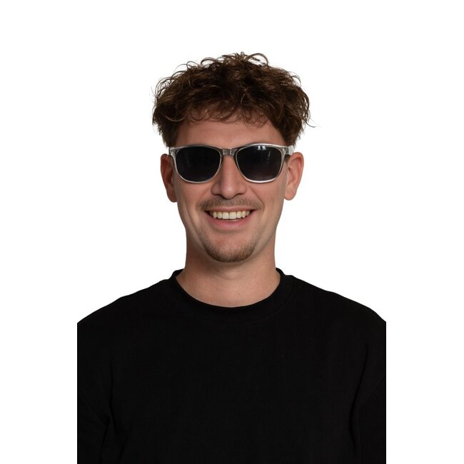 Partychimp Bril - Zilver - Donkere glazen