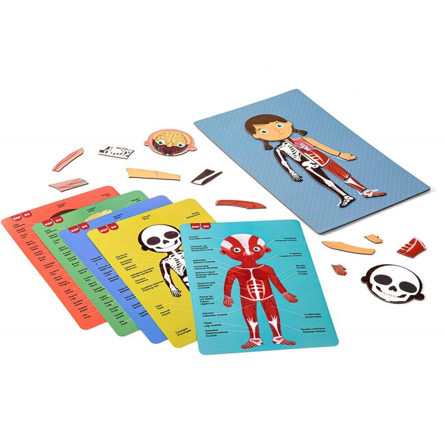 Magneetspel - Menselijk lichaam magneetkaart - 63dlg.