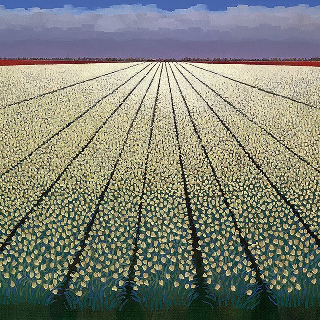 Comello Kaartenmapje - 2 x 4 designs - Ton Dubbeldam - Holland - 12x12cm