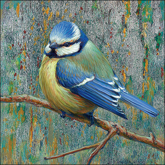 Comello Kaartenmapje - 2 x 4 designs - Erik van Ommen - Birds - 12x12cm