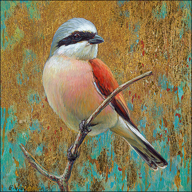 Comello Kaartenmapje - 2 x 4 designs - Erik van Ommen - Birds - 12x12cm