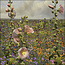 Comello Kaartenmapje - 2 x 4 designs - Saskia Boelsums - Wildflowers - 12x12cm