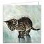 Comello Kaartenmapje - 2 x 4 designs - Dorus Brekelmans - Kittens - 12x12cm