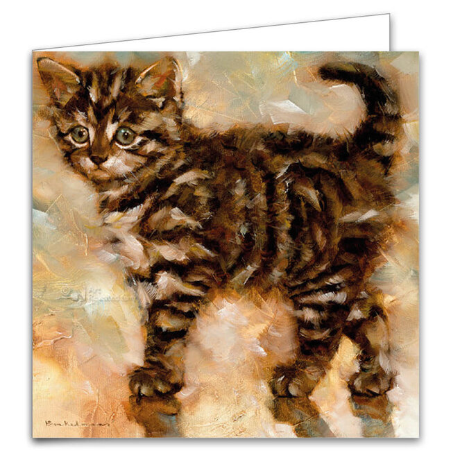 Comello Kaartenmapje - 2 x 4 designs - Dorus Brekelmans - Kittens - 12x12cm