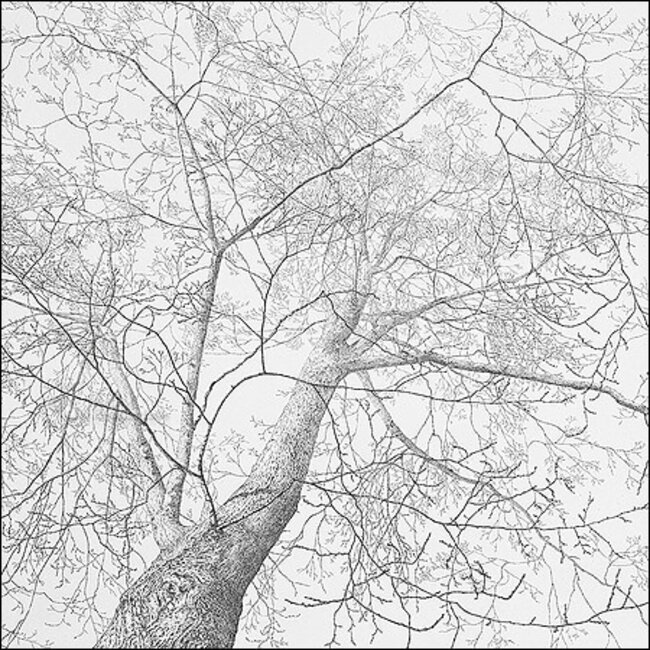 Comello Kaartenmapje - 2 x 4 designs - Reinder Homan - Sympathy - 12x12cm