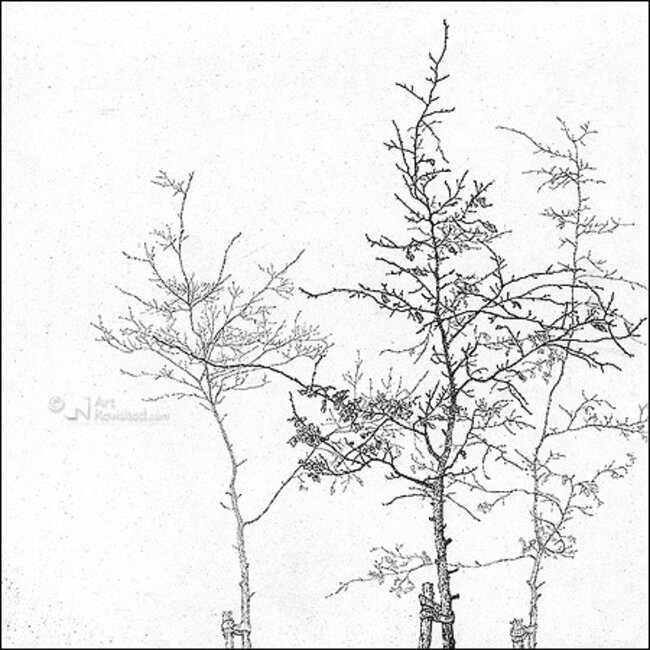 Comello Kaartenmapje - 2 x 4 designs - Reinder Homan - Sympathy - 12x12cm