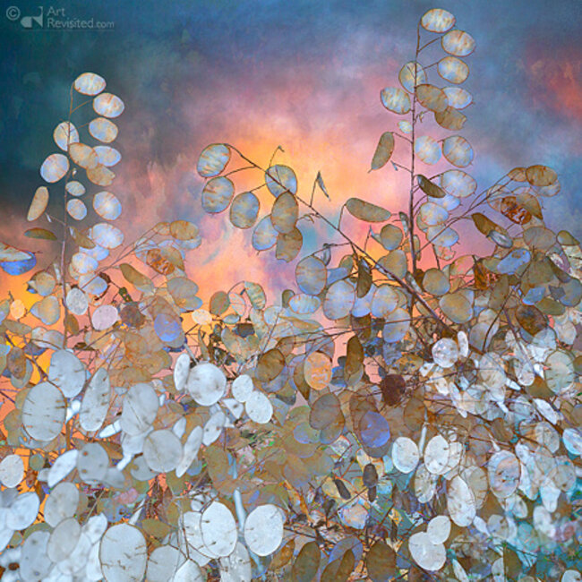 Art Revisited Verjaardagskalender - Stillness - Saskia Boelsums - 21x30cm