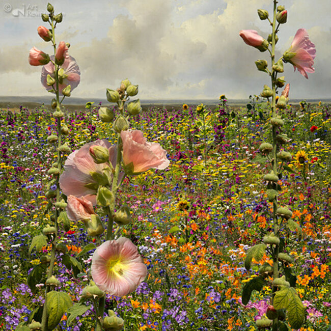 Art Revisited Verjaardagskalender - Stillness - Saskia Boelsums - 21x30cm