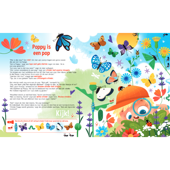 Lantaarn Boek - Speuren naar vlinders