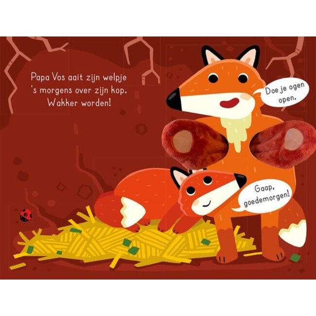 Lantaarn Boek - Knuffelpret - Bosvriendjes